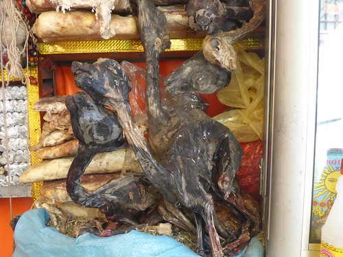 Dried llama foetus
